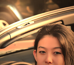 BMW车模