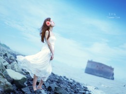夏の海