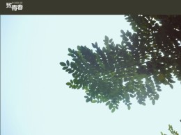 致青春