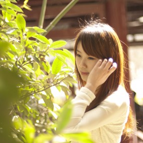 春晓（三）