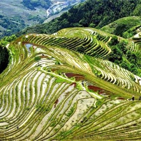 桂林山水与龙脊梯田