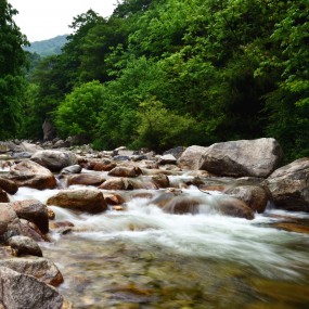 秦岭峡谷溪水