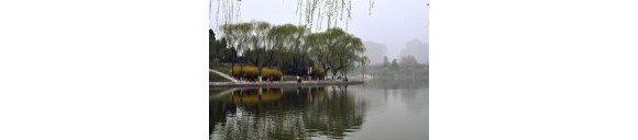 春天的美