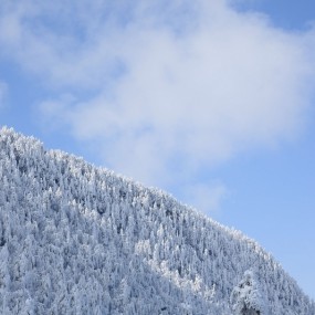 冰雪峨眉