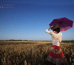《麦香》第2季