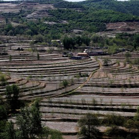 美丽的梯田