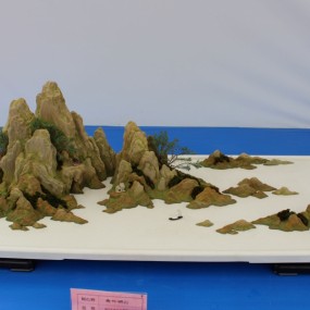盆景