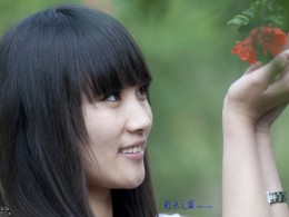 雨后的清新