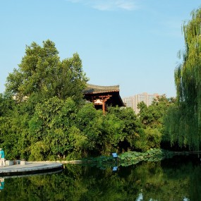 美丽宁静的丰庆公园
