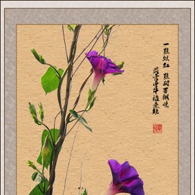 最爱牵牛随意绕